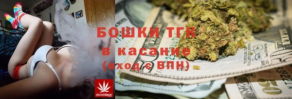 spice Алзамай