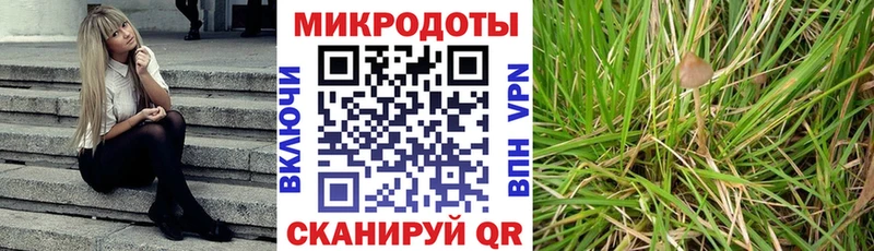 Галлюциногенные грибы Magic Shrooms  маркетплейс наркотические препараты  Комсомольск 